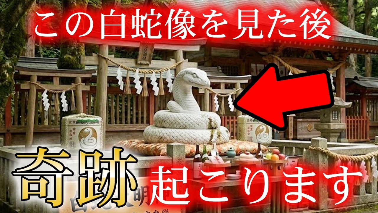 【奇跡が起こる白蛇様】この白蛇様を見たあと、早い人は２４時間で奇跡が起こり始めます。【見ると見ないじゃ大違いです】本当毎回不思議です。