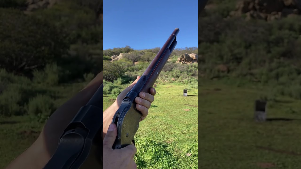 Black powder 10 gauge #blackpowder #shotgun #firearms
