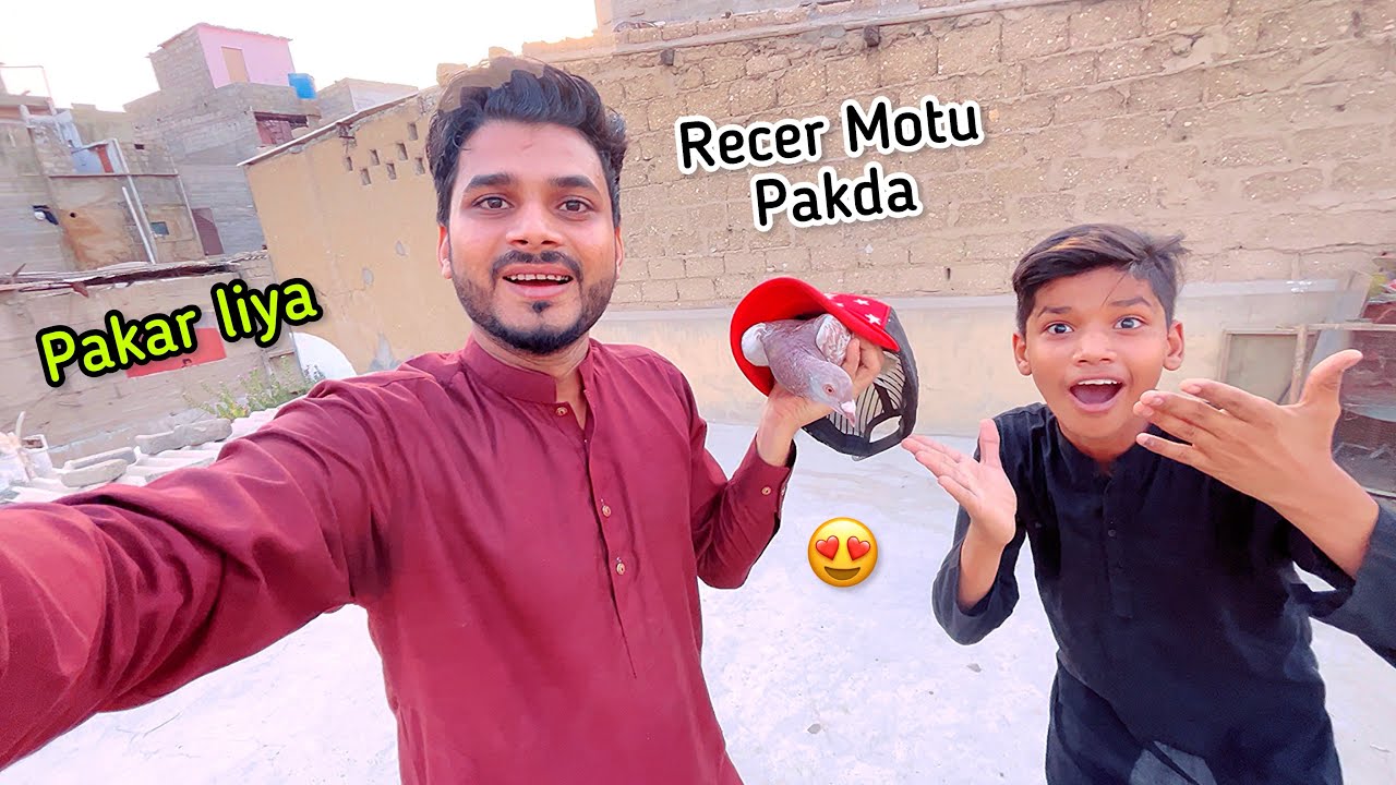 Itne Din Bad Kabutar Pakad Liya || Recer Motu Nikla 😱