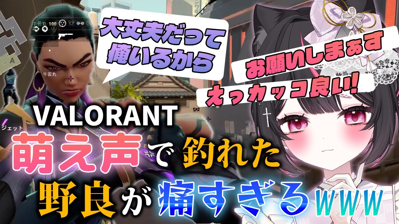 萌え声に釣られた野良がカッコつけすぎて痛すぎるｗｗｗ