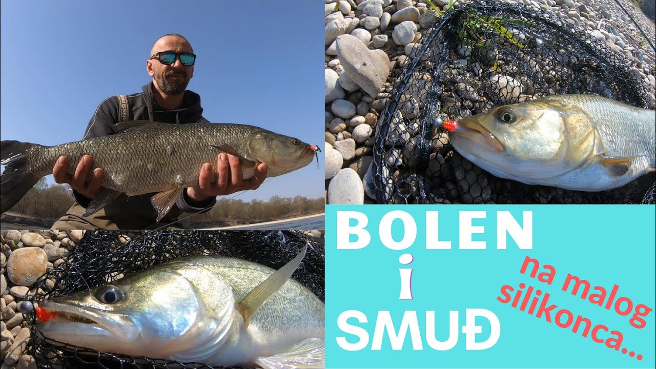 Bolen i smuđ na silikonca  ( Asp and zander on silicone lure )