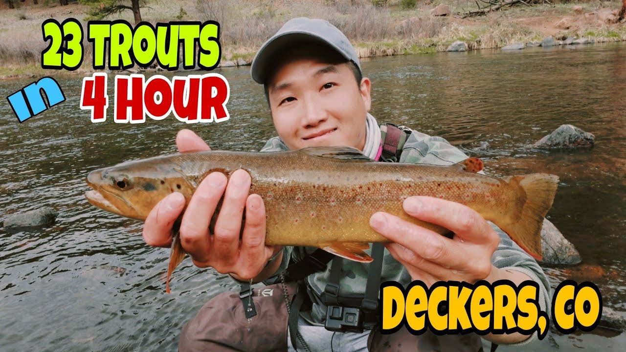 EPIC DAY  Shimano Calcutta Conquest BFS Reel is 🔥 Trout Lure Fishing at Deckers Colorado River.