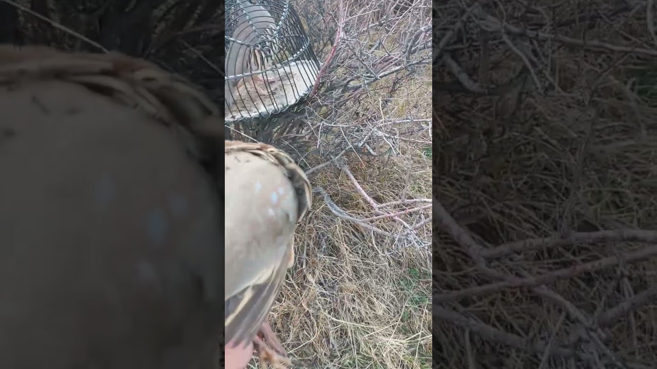 18 октября 2025 г.