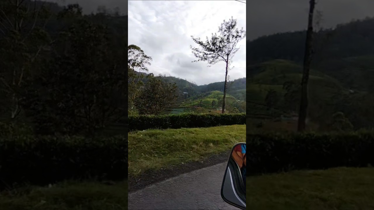 #Road side#Rural beauty#Short#Sri Lanka