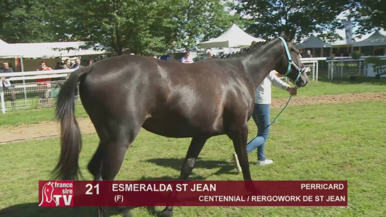 The Chaser Day Paray - 2016 - Lot 21 : Esmeralda St Jean