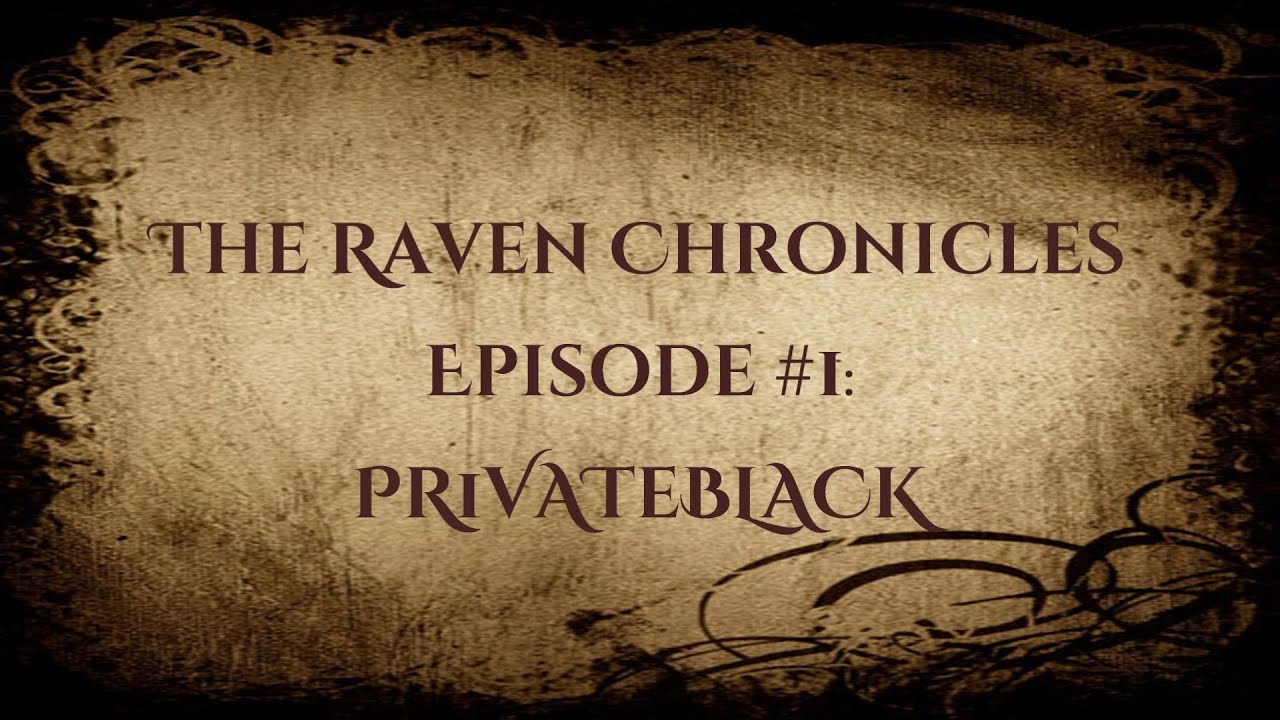 The Raven Chronicles #1: PR1VATeBLACK