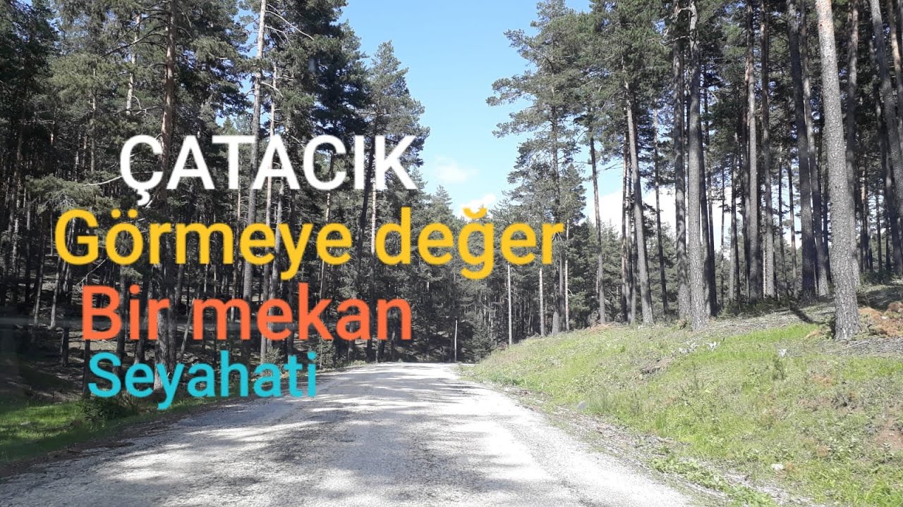 Çatacık Mesire Yeri, Kızıl Geyik Üretme Sahası Seyahati #kızılgeyik #çatacık #mihalıççık #eskişehir