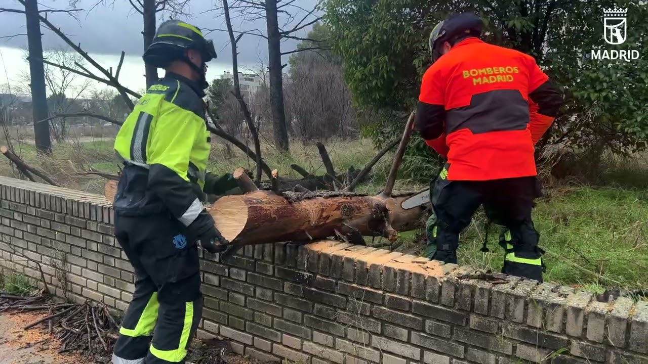Balance intervenciones de Bomberos por viento y lluvia