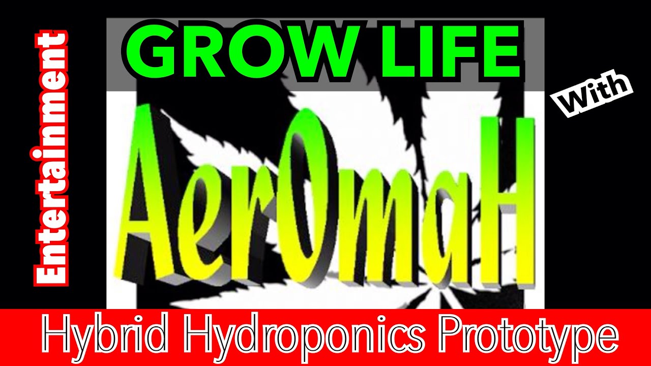 Intermittent Watering Aeration Operation ( Hybrid Hydroponic Grow System )