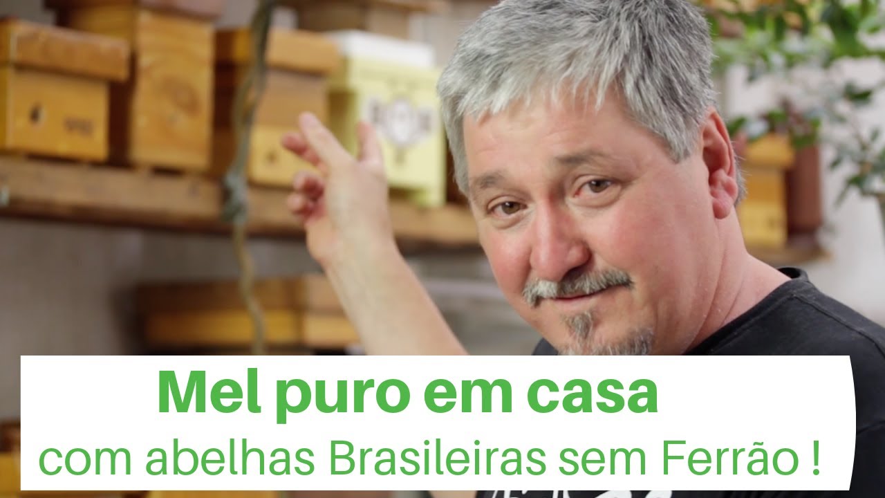 Como produzir mel puro em casa, com Abelhas nativas sem ferr&atilde;o