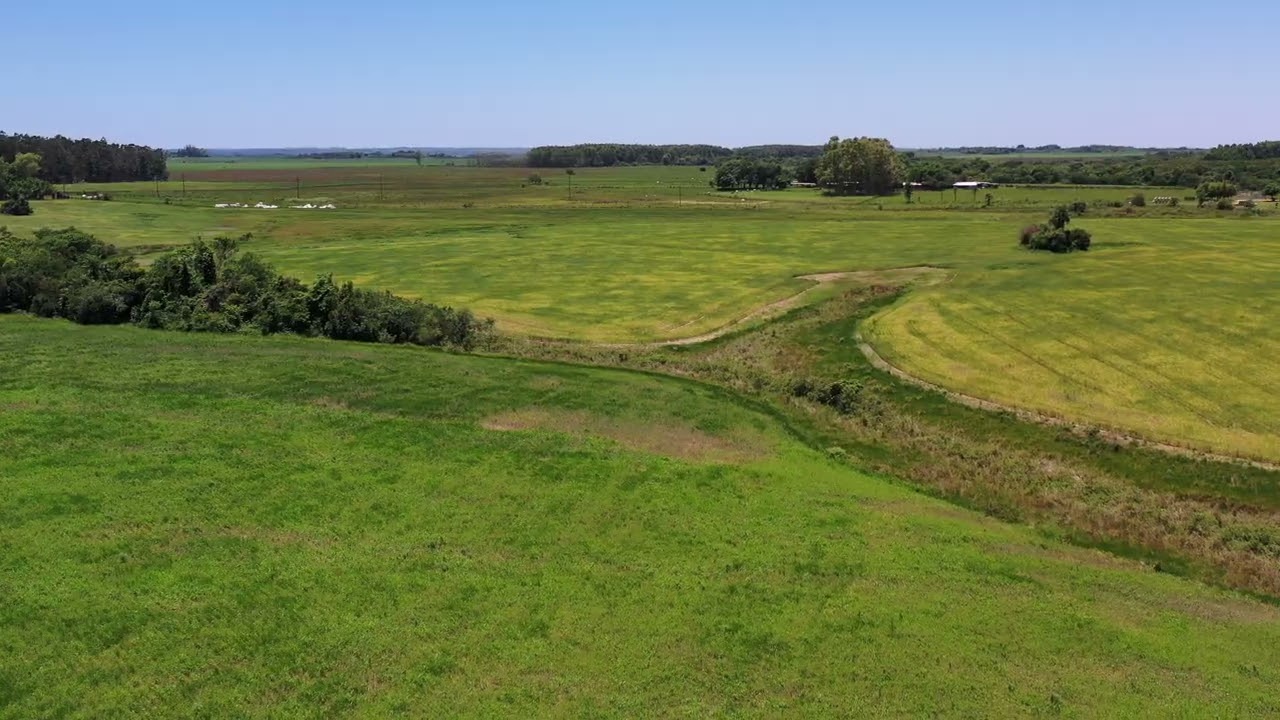864 ha Centro con Soja #Paraguay #agricultura