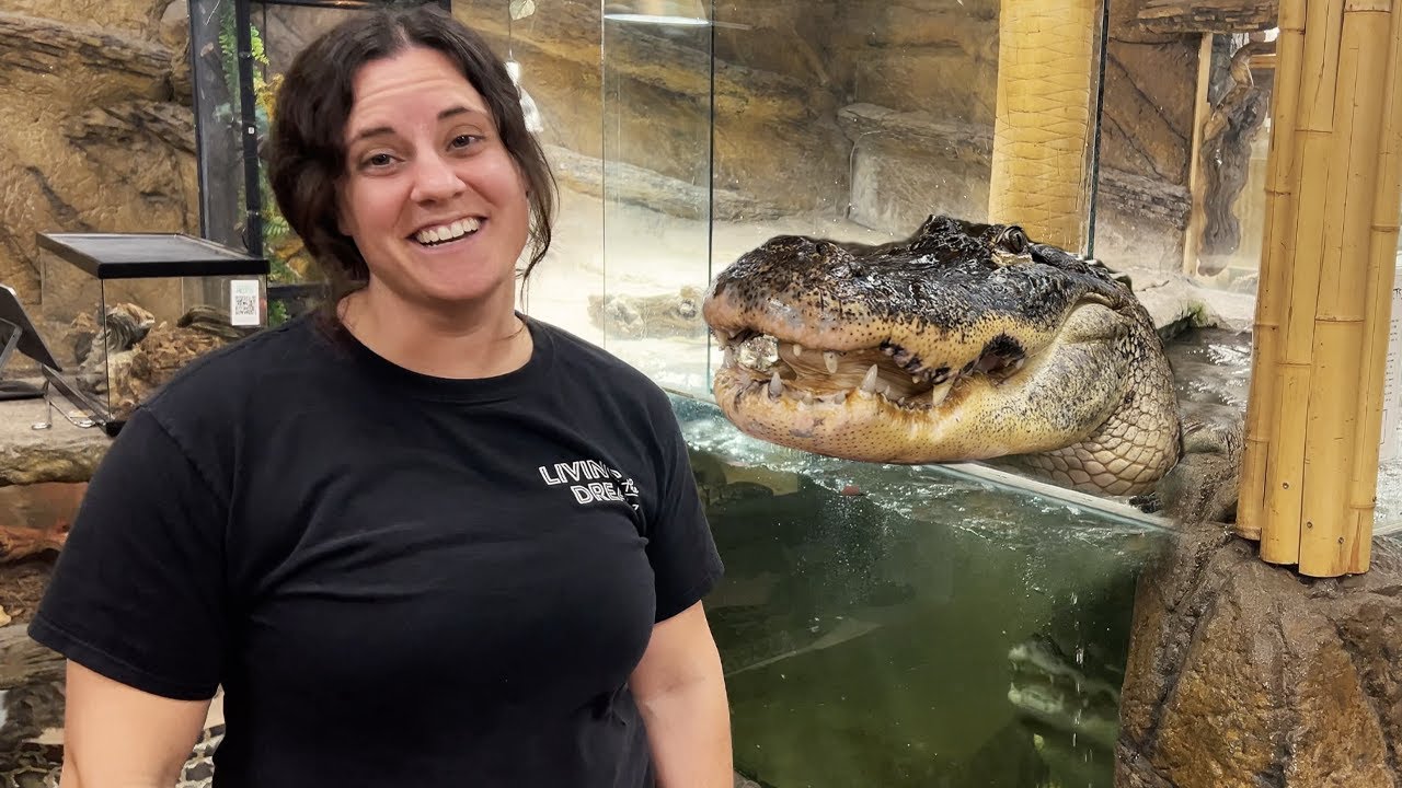 Trusting My Giant Gators😅