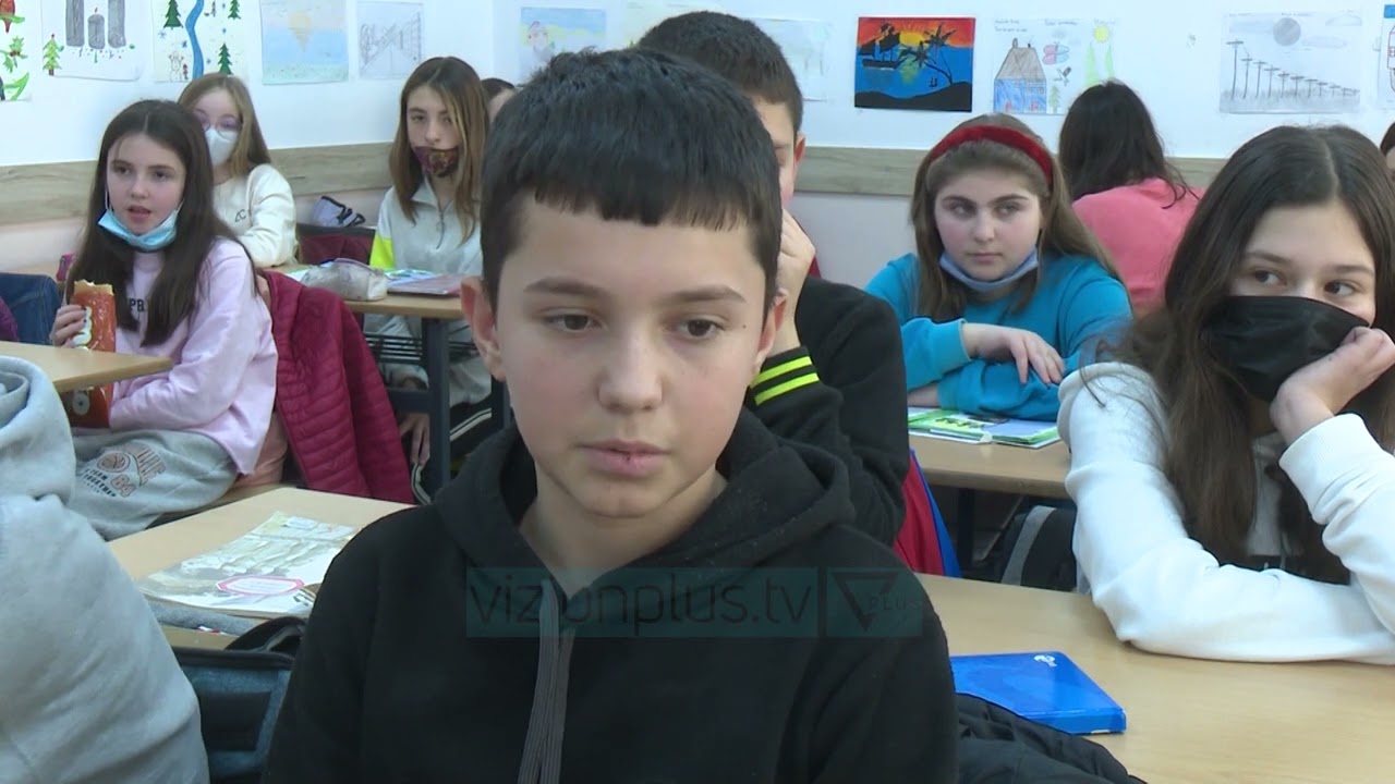 Mesuesit ndihmes ne shkolla - Vizion Plus