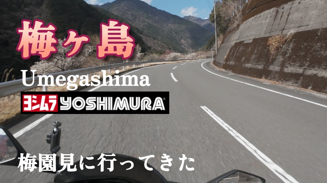 【Vlog】静岡 梅ヶ島 梅園見てきた | No Commentary【CBR250RR】