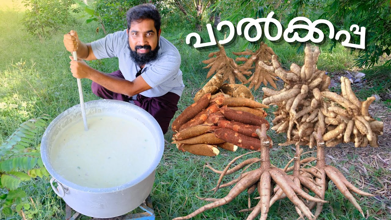 പാൽക്കപ്പ ഇനി വീട്ടിൽ ഉണ്ടാക്കാം / OMKV FOOD VILLAGE SPECIAL