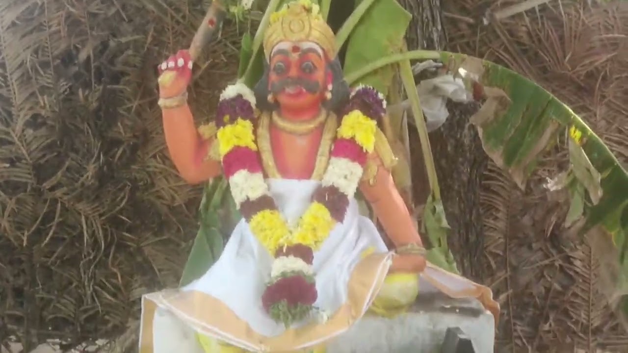 சேலம் மாவட்டம் கொட்டவாடி ஓடைமேடு ஐயனாரப்பன் கோவில் முப்பூசை 2026 