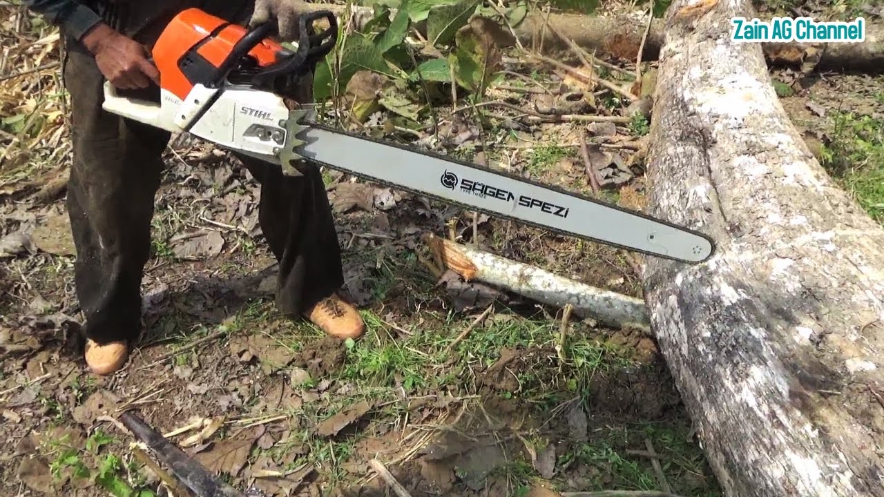 Резка тикового дерева с помощью бруса STIHL MS 651 Sagenspezi