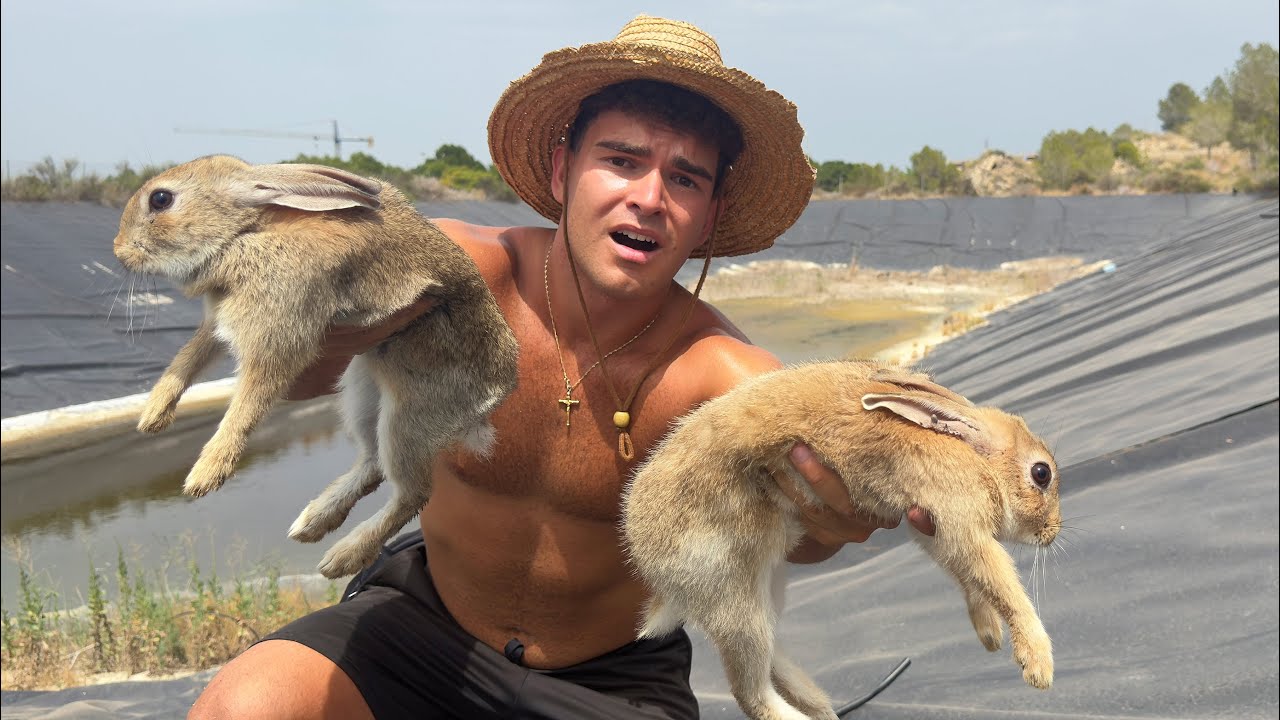 ¿Cómo Llegaron tantos Conejos aquí? El Rescate más Extraño que he Hecho...