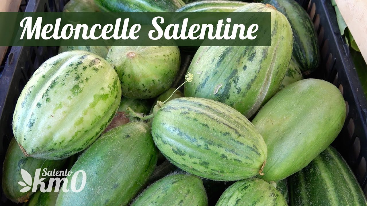 Meloncelle salentine