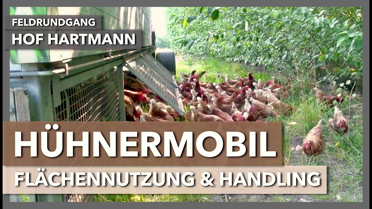 7 Hühnermobile auf 10ha - Flächennutzung & Handling | Hof Hartmann | Feldrundgang 4