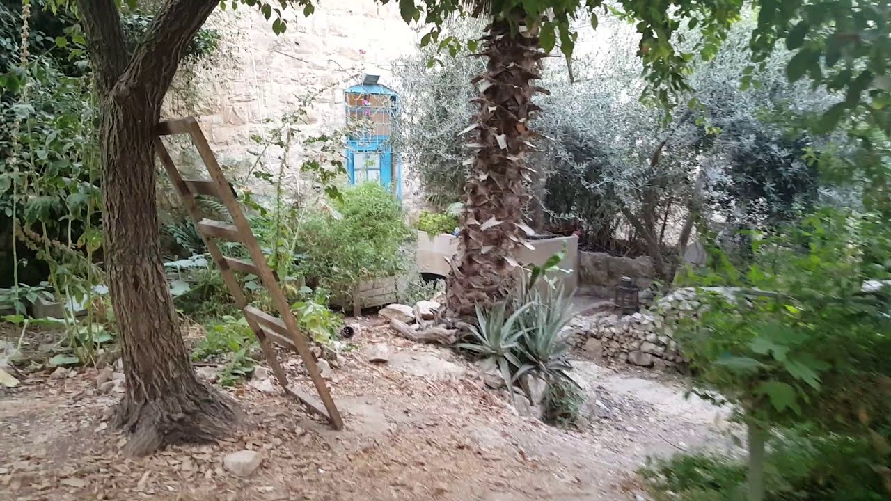 שכונת מחנה ישראל מלכה אליהו קוסוביץ