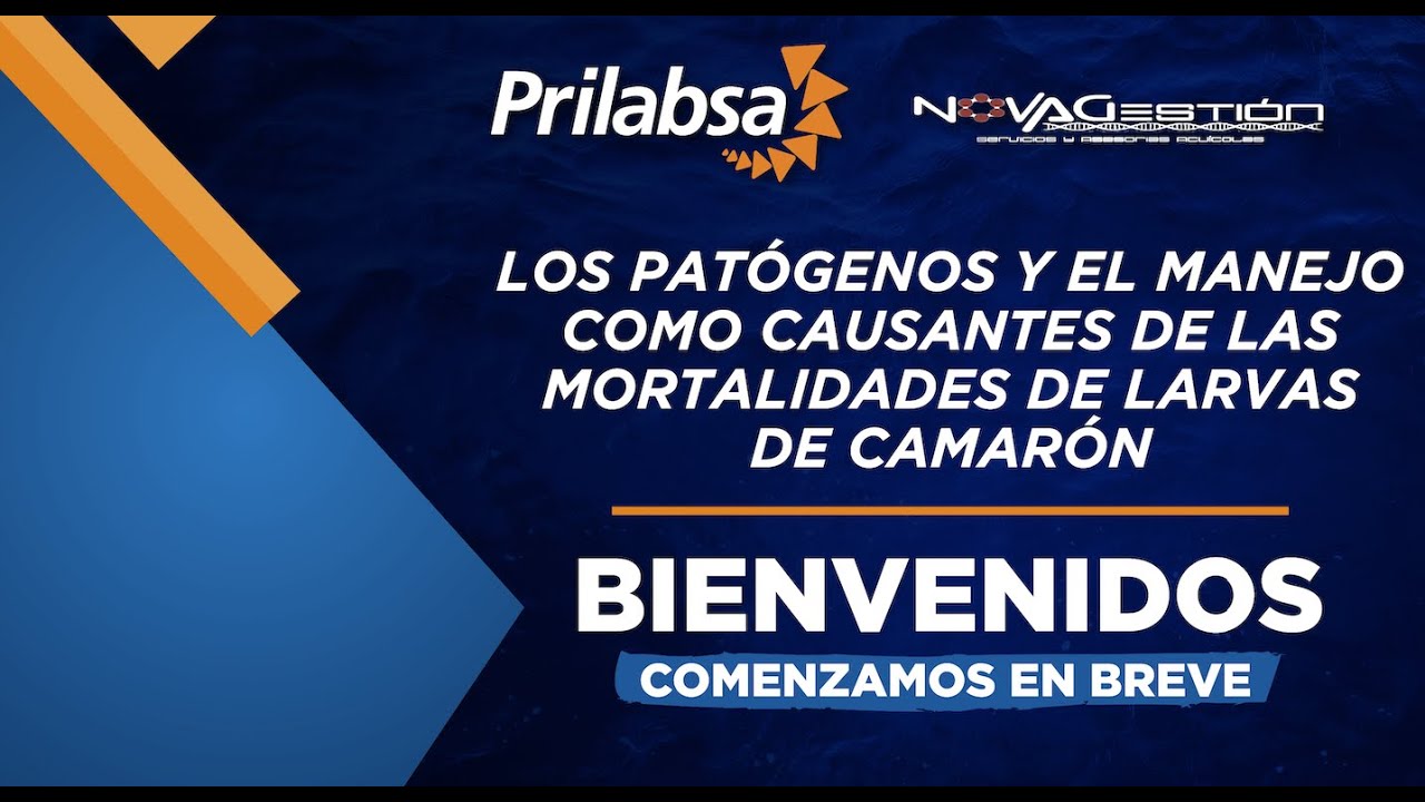 Los Patógenos y el manejo como causantes de las mortalidades de larvas de Camarón
