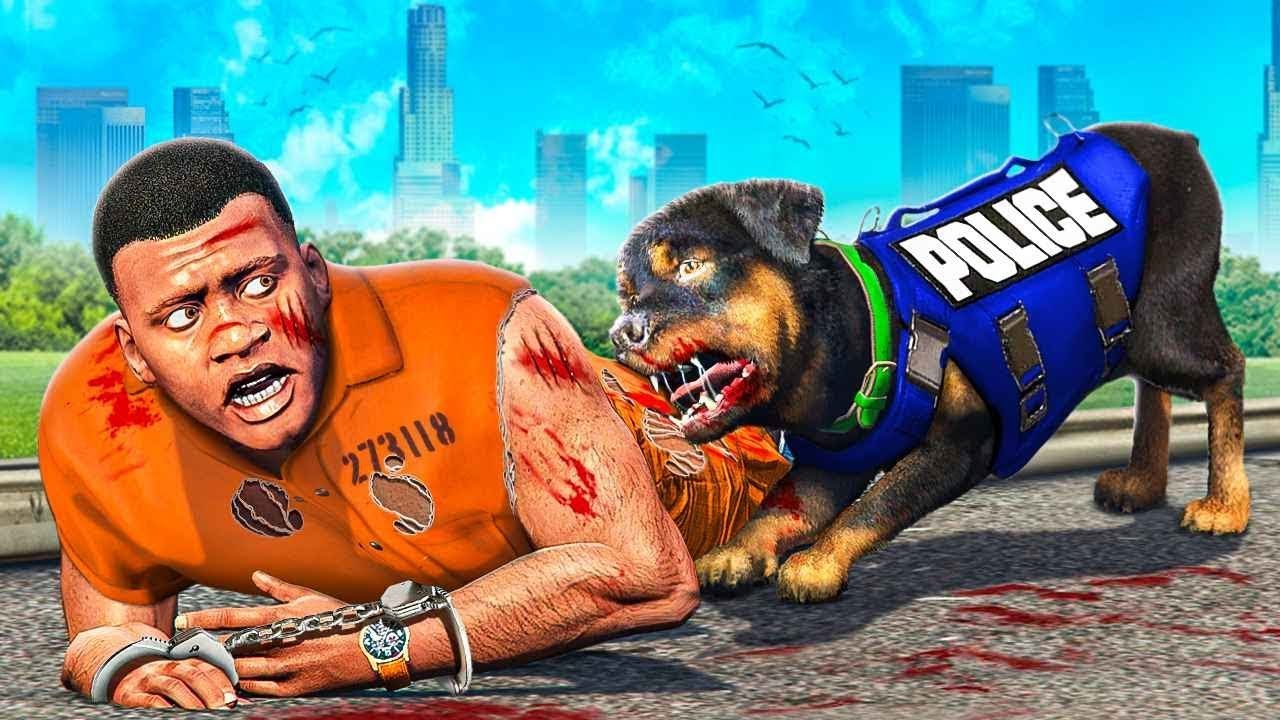 ЧОП ПОЛИЦИЯ БОЛЫП ФРАНКЛИНДІ ҰСТАДЫ (GTA V)