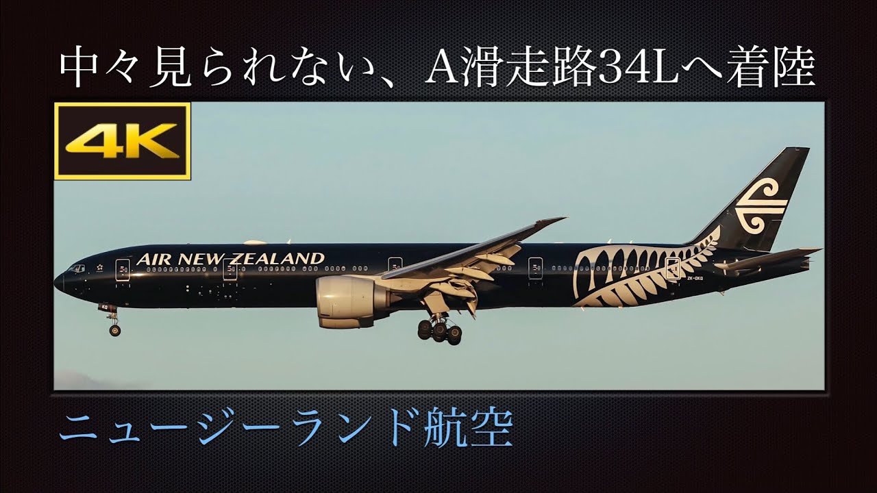 4K 中々見られない、冬の成田国際空港A滑走路34Lに着陸する  特別塗装機(オールブラックス  All Blacks)  ニュージーランド航空  Boeing 777-319(ER)  ZK-OKQ