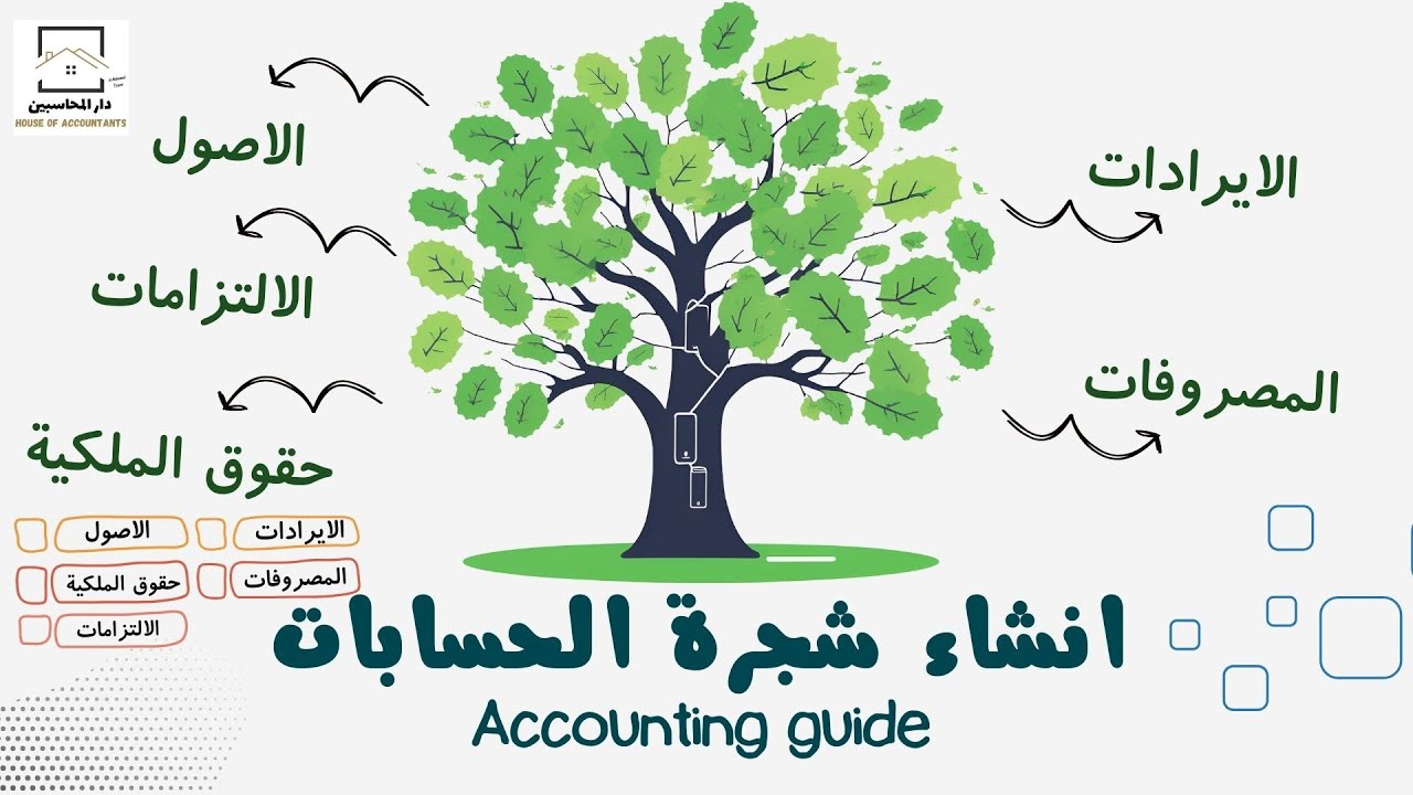 لو عايز تبقى محاسب محترف.. لازم تعرف تعمل شجرة الحسابات بالشكل ده! 