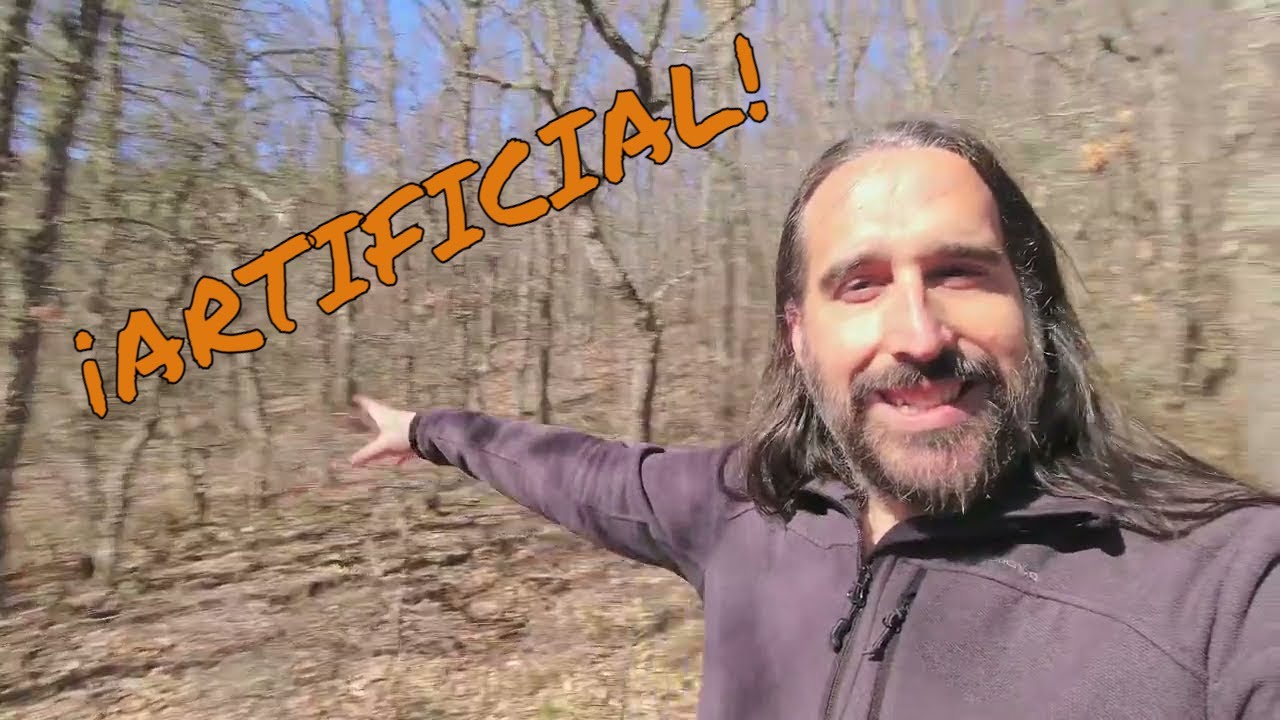 Un BOSQUE ARTIFICIAL que no ha sido plantado.