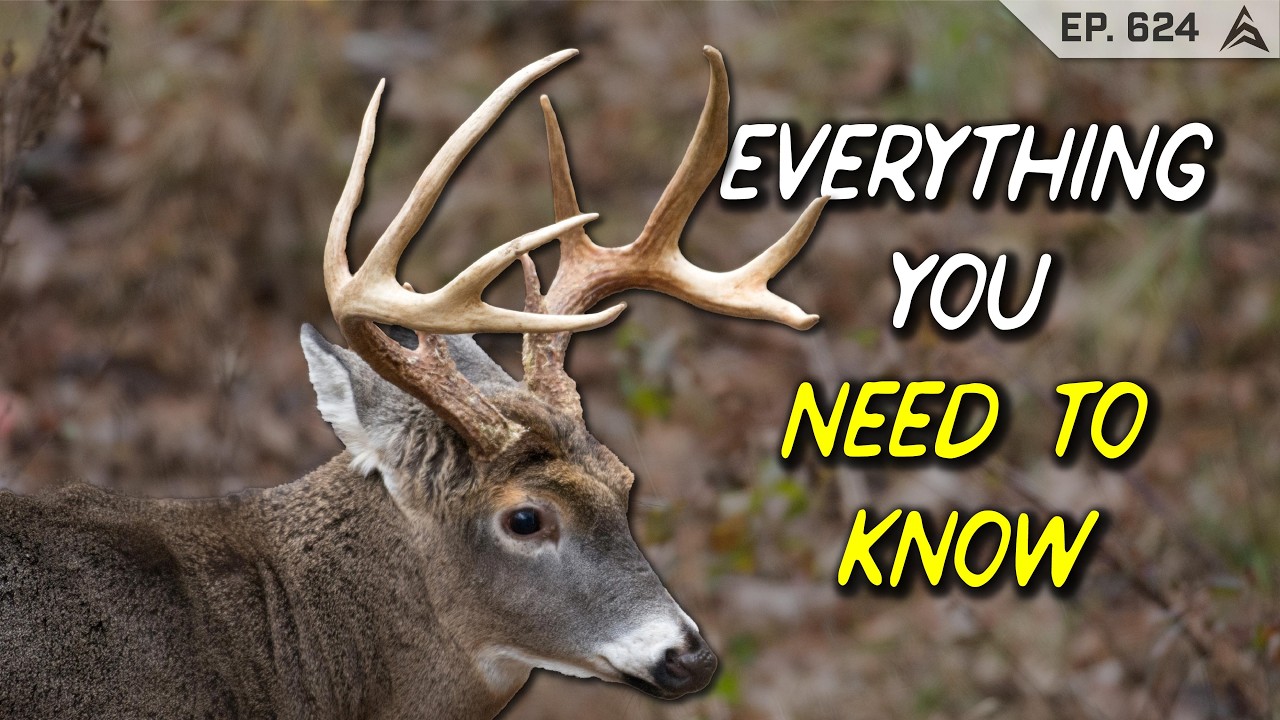 Biologist&rsquo;s Guide to Going UNDETECTED by Bucks