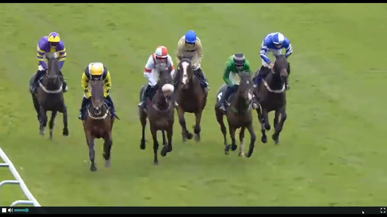 at1332 | гонка 3 | FONTWELL | Великобритания, 16 ноября 2025 г.