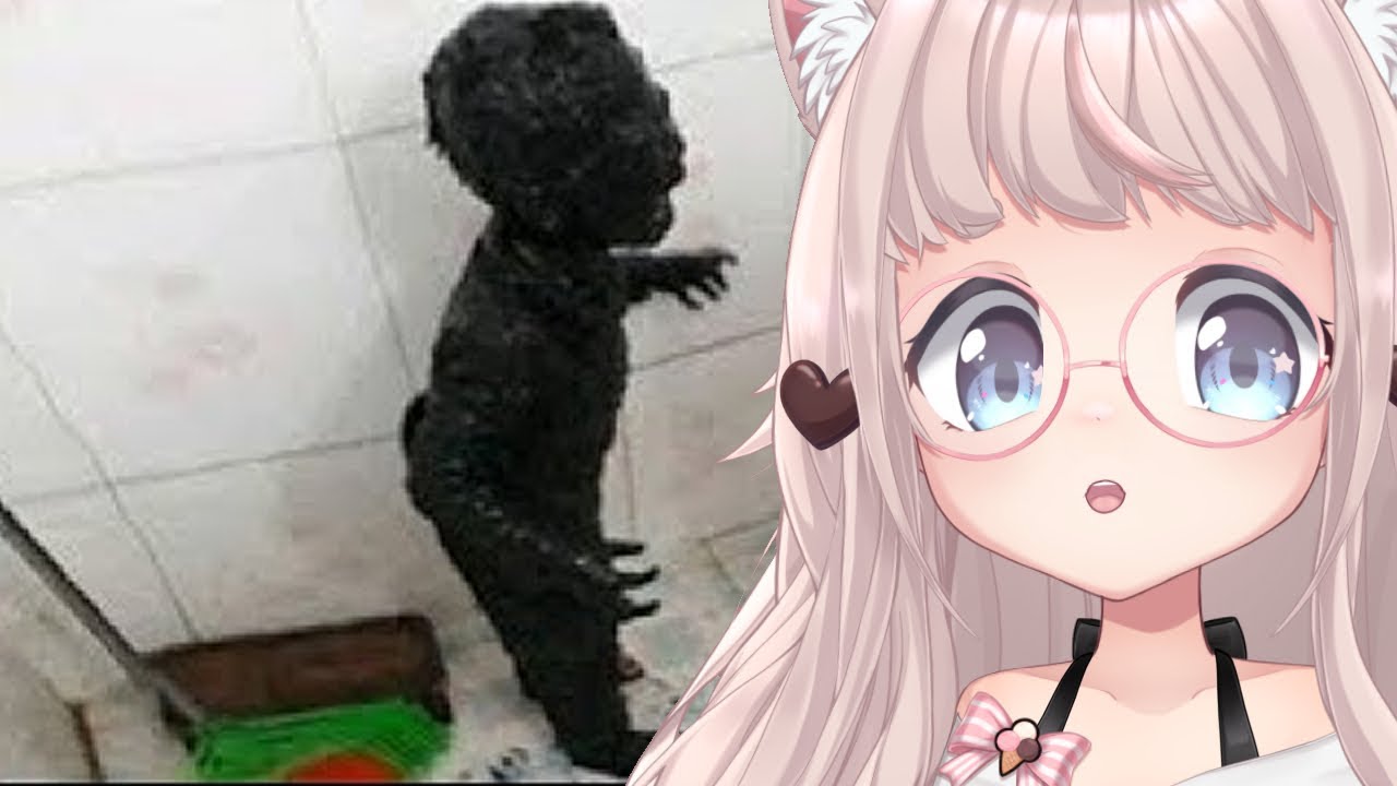 SO MUCH UNEXPECTED | VTuber Fuwa reacts to UNEXPECTED MEMES COMPILATION