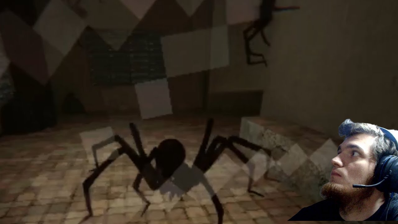 Lurking- aracnophobes beware