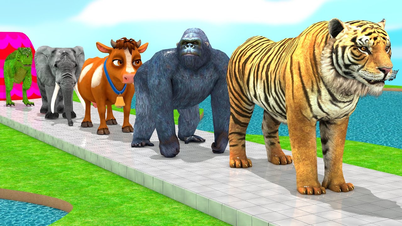 Long Slide Game with Cow Elephant Gorilla Hippopotamus Tiger 3d Animal Game Funny 3d Animals