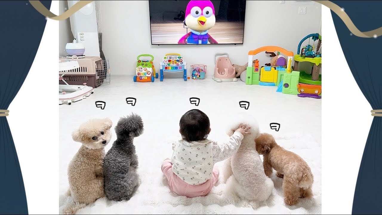 이제 뽀로로 같이 보는 아기와 댕댕이들ㅋㅋㅋㅋ