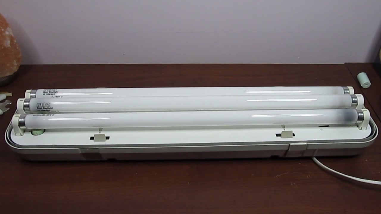 E.O.L. Piła fluorescent tubes