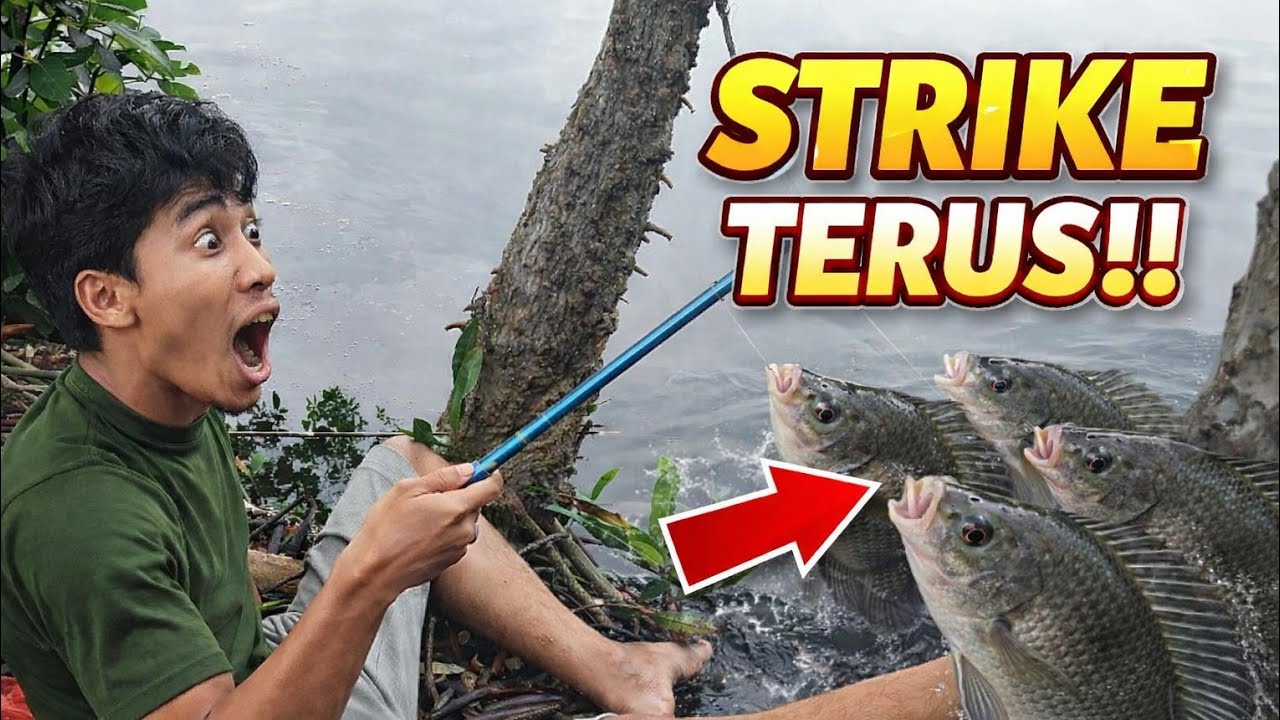 BARU LEMPAR UMPAN LANGSUNG DISAMBAR MUJAER BESAR!!