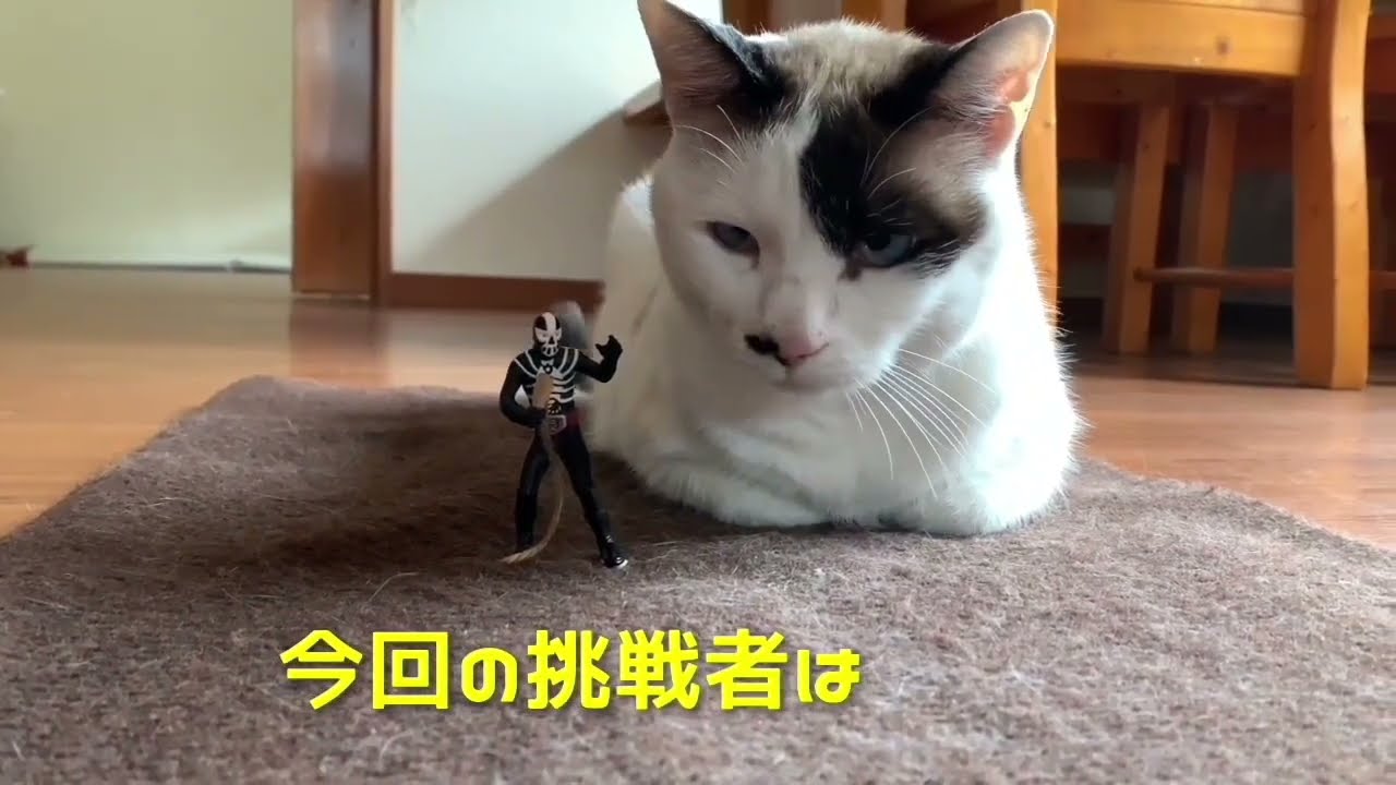 パルクール　2