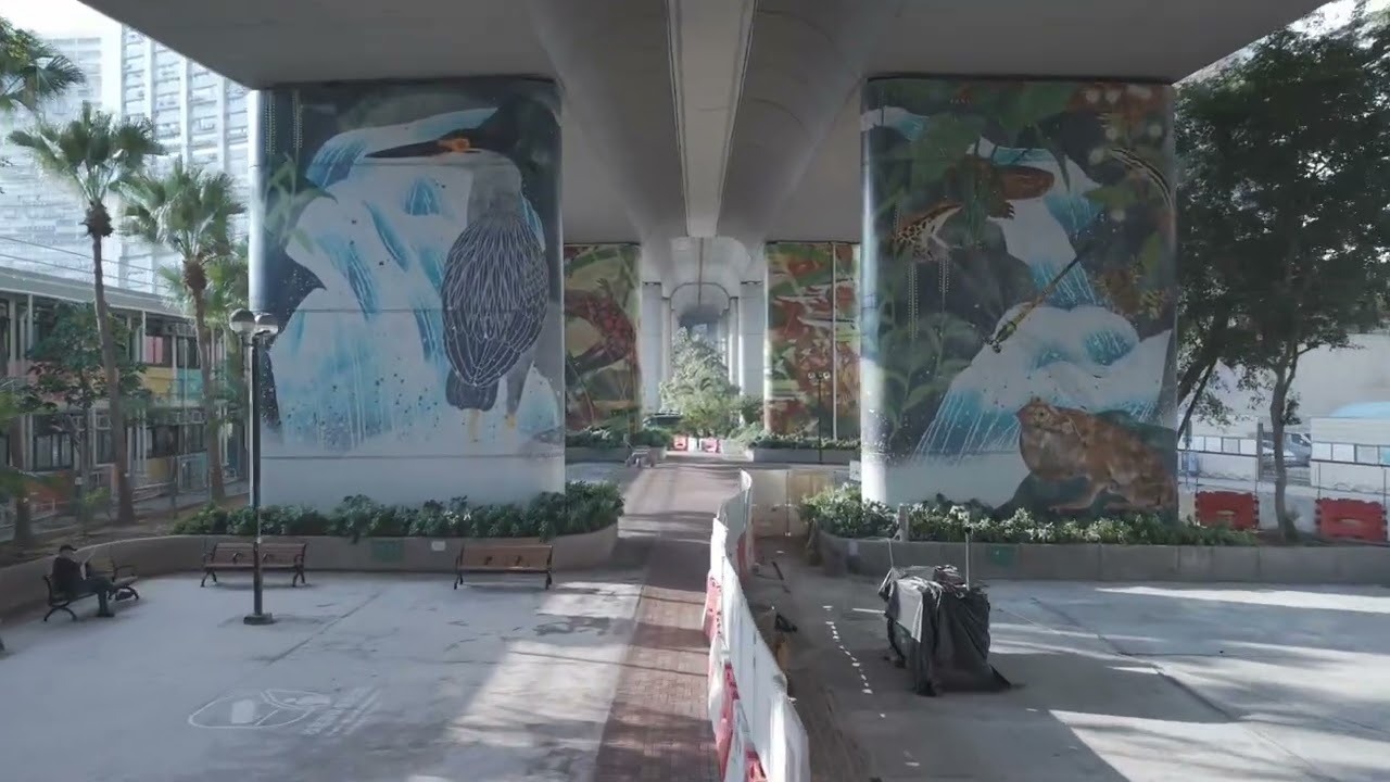 A small garden under the highway bridge #djimini5pro #cityscape #highway 