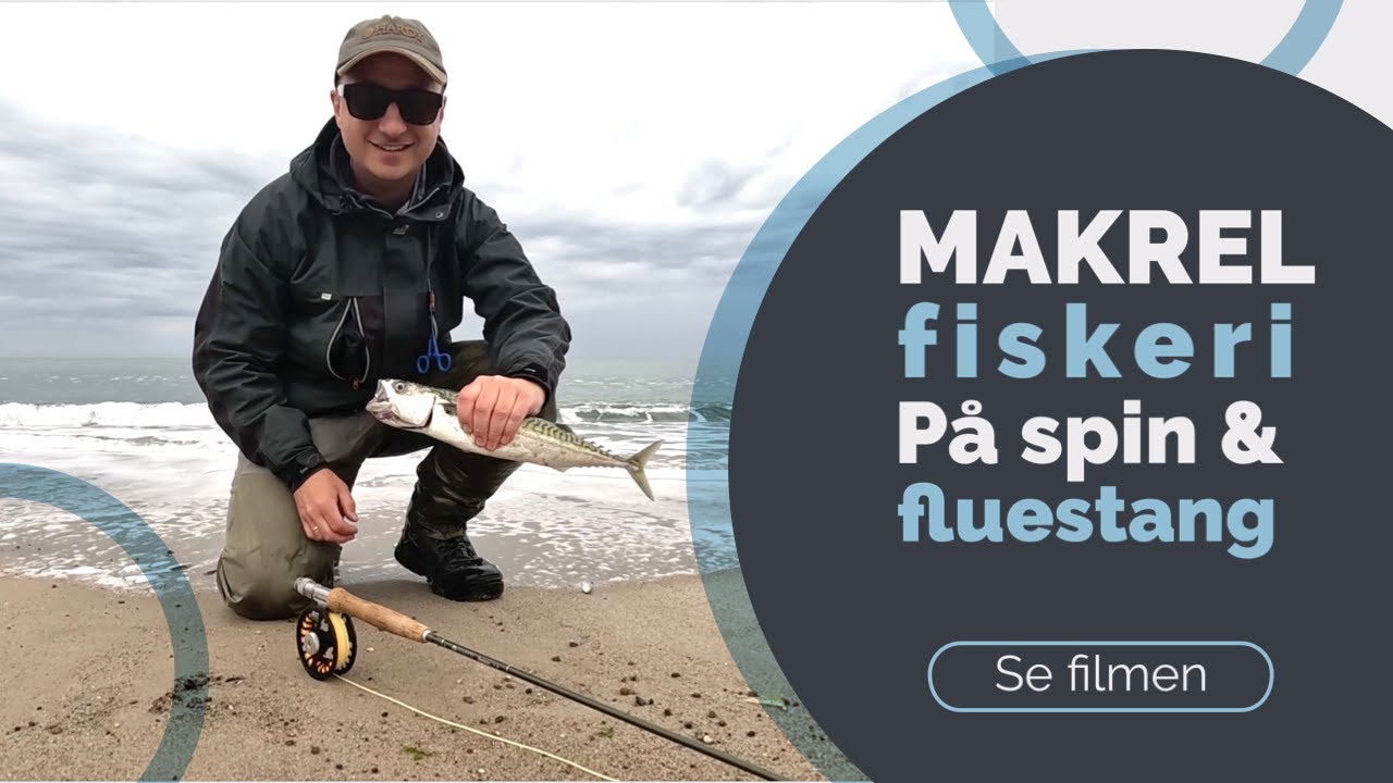 Makrel fiskeri august, på fluestang og spinnestang, hvad fanger man makrel på? Fang en makrel...