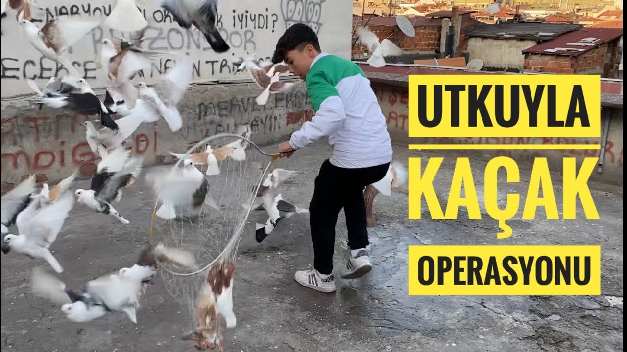 UTKUYLA BERABER KAÇAK BASKA OPERASYONU YAPIYORUZ UTKU KAÇAK YAKALAMAYI UNUTMUŞ YAKALAYA BİLDİMİ??