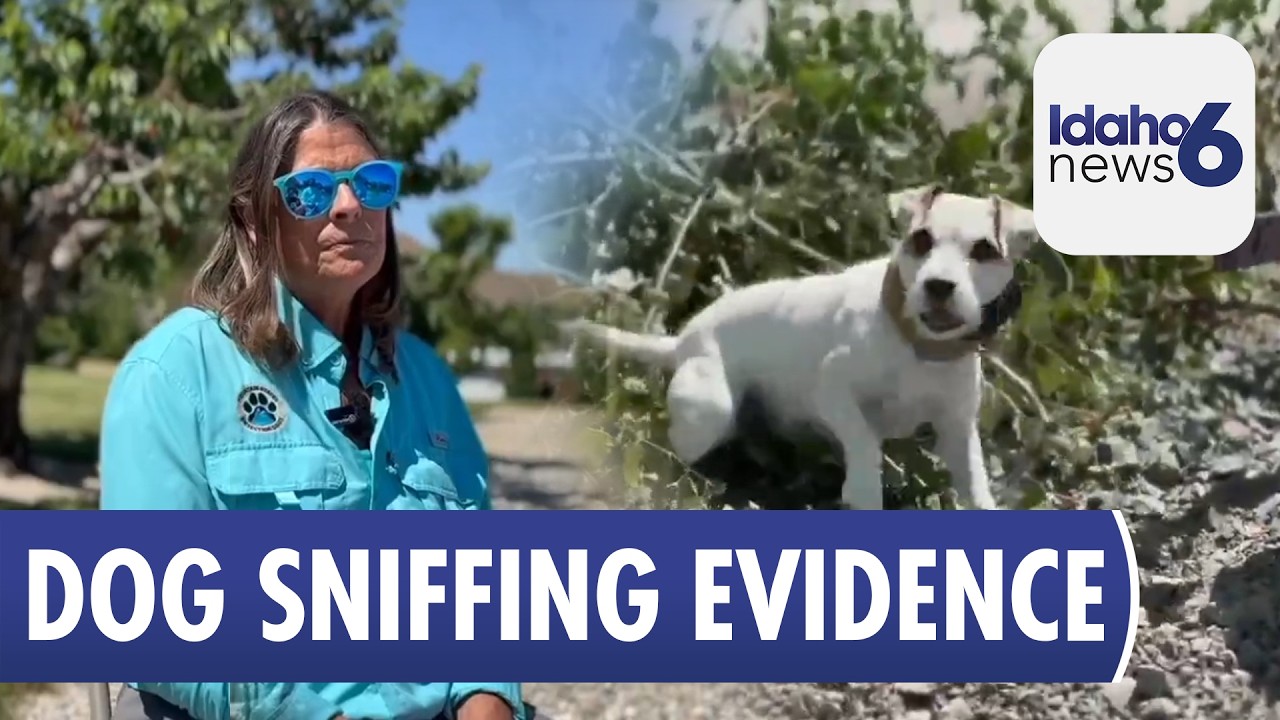 Cadaver dog evidence:  Enough to convict?