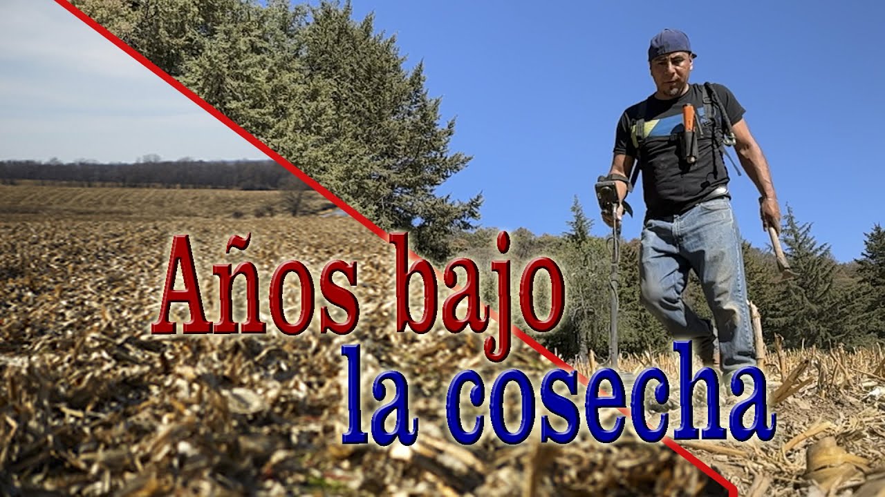 Cortaron la C0SECHA y encontramos OBJETOS antiguos enterrados 