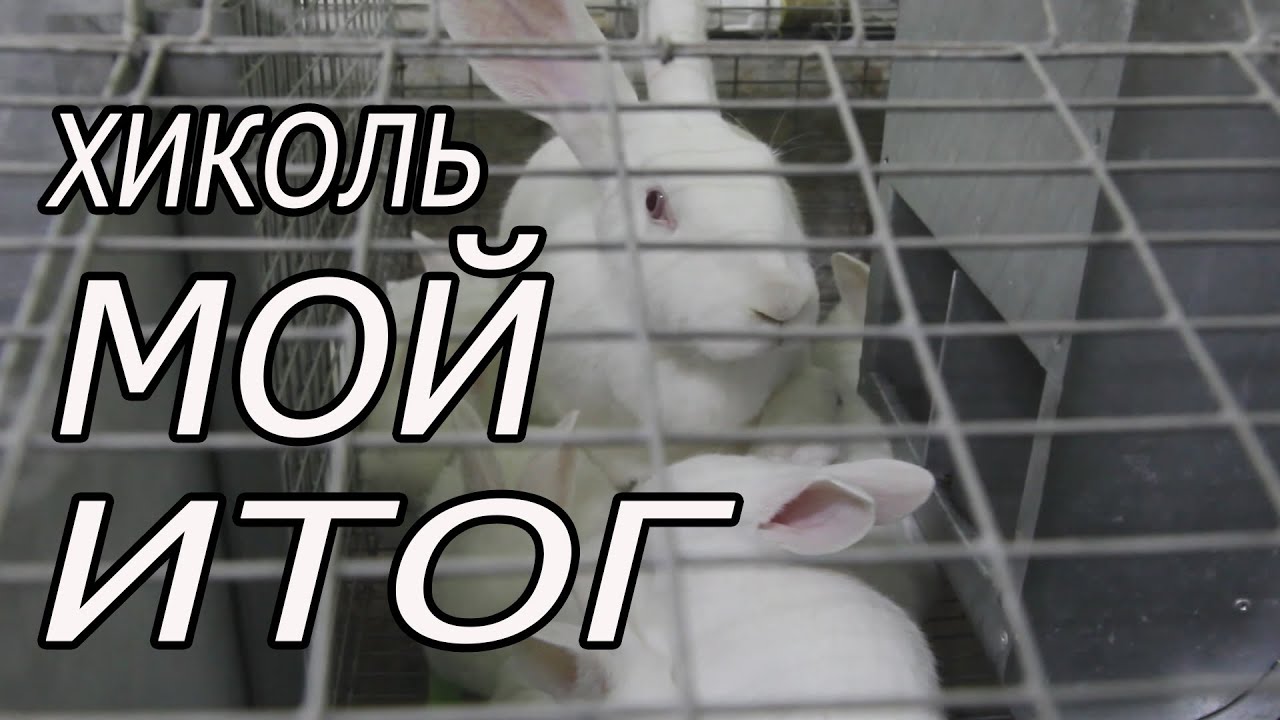 ОСТАВЛЮ ВСЕГО 7 САМОК