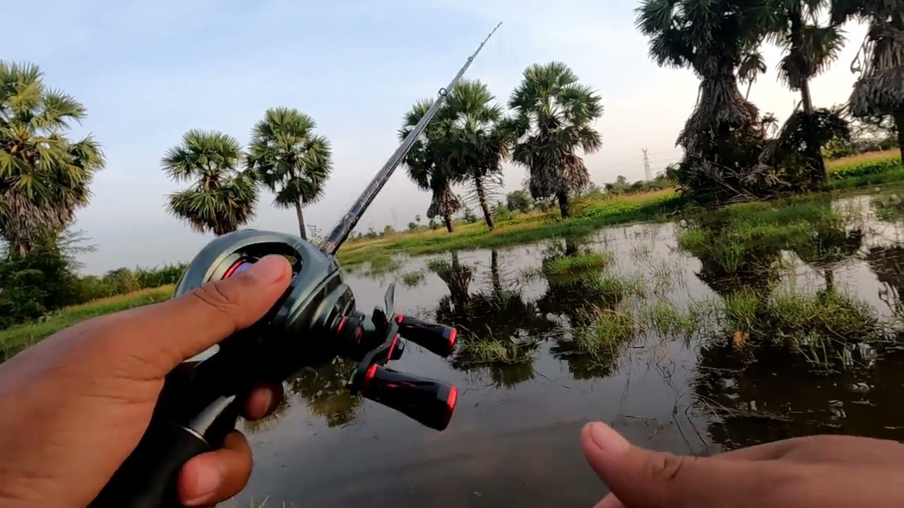#ពីរនាក់ស្មាត់ថ្មី .ដីឡូតិ៍ ep 3