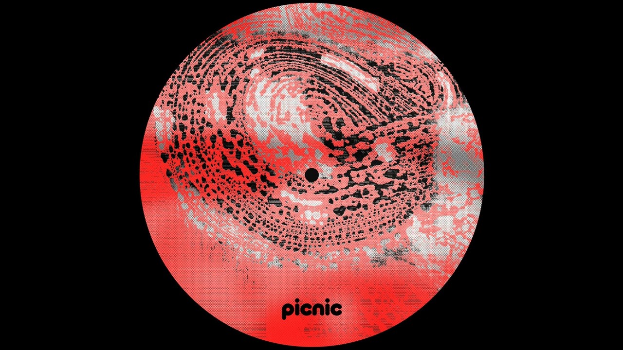 Shkedul - Undisclosed [PICNIC010]