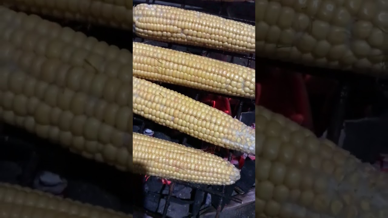 Do you love corn? See what you can get..