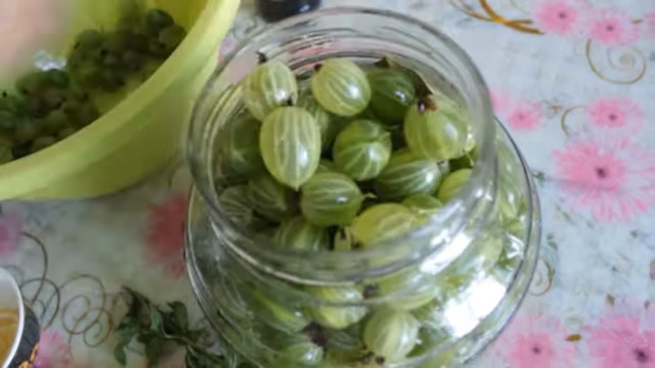 КРЫЖОВНИК на  ЗИМУ! Вкуснее Свежего!!Tuzlu Bektaşi Üzümü👍Salted Gooseberries for the Winter