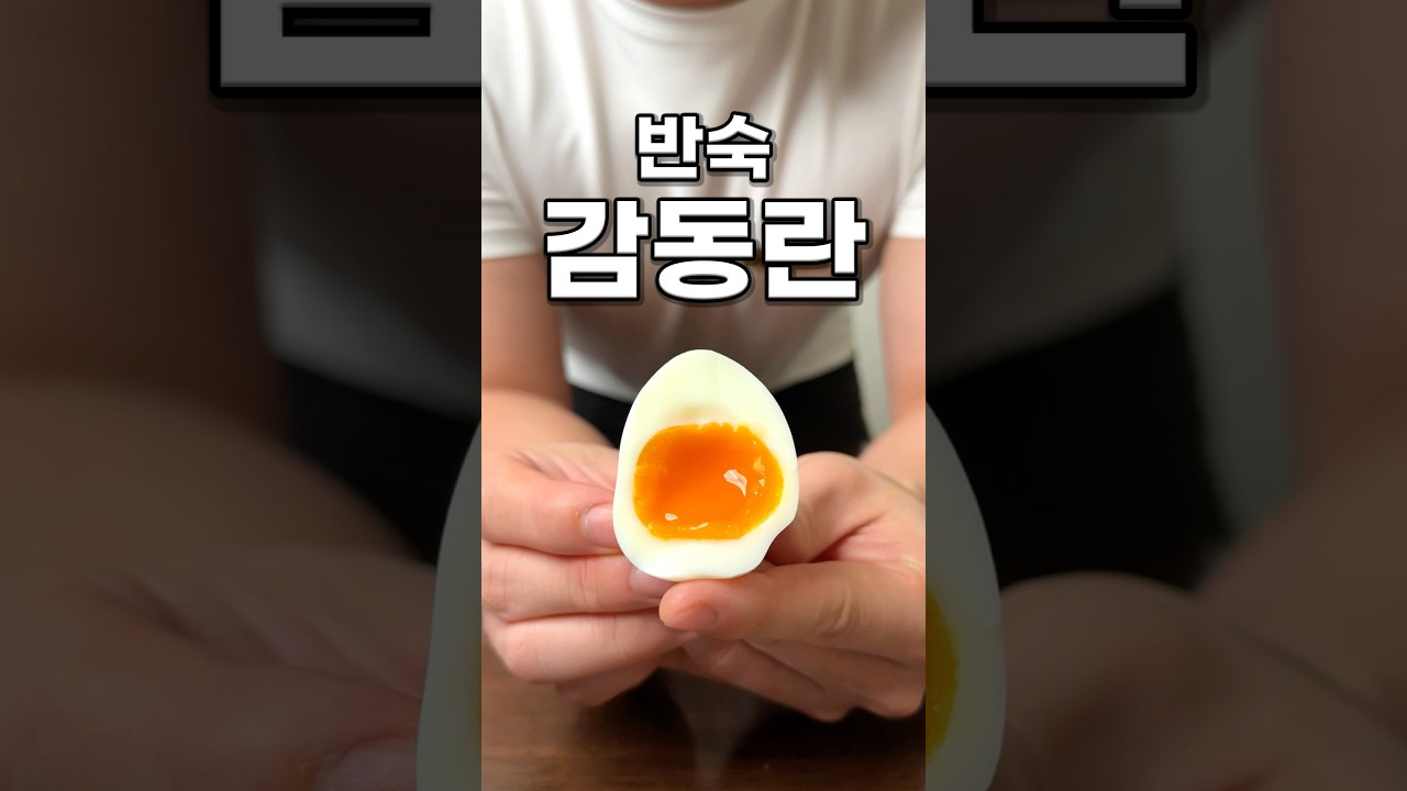 회원님이 만약